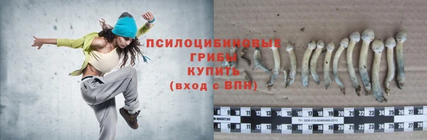 твердый Белокуриха