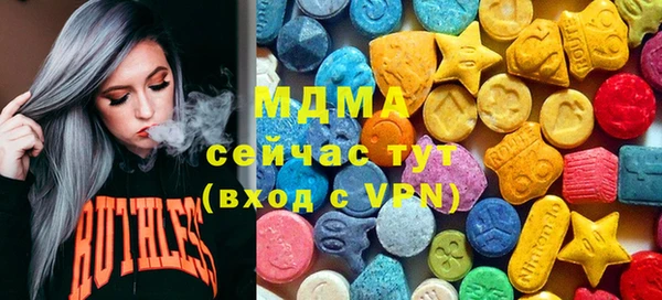индика Слюдянка