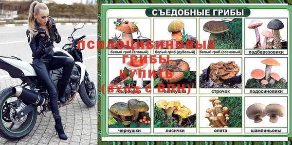сатива Бронницы