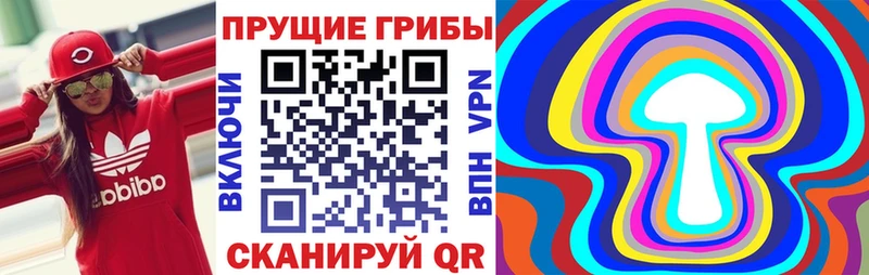 купить  цена  Буинск  Галлюциногенные грибы мицелий 