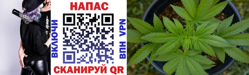 Бошки Шишки THC 21% Буинск